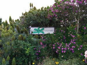 Edible Schoolyard Berkeley