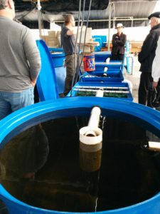 Filtration tanks